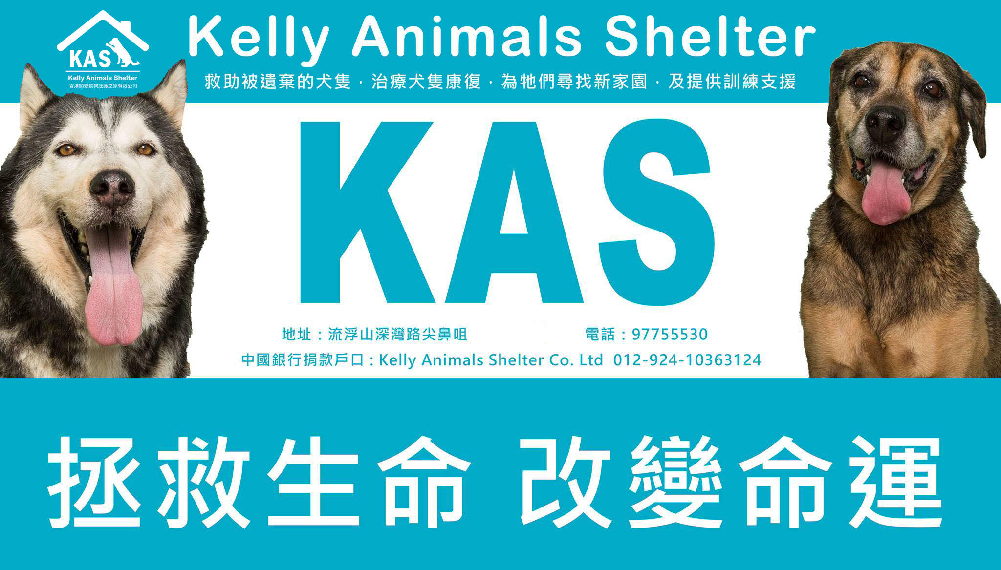 幫助可愛的狗狗們!